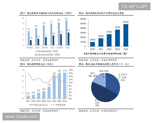 RulerADC的崛起与挑战解析：电子竞技中ADC角色的全新发展趋势