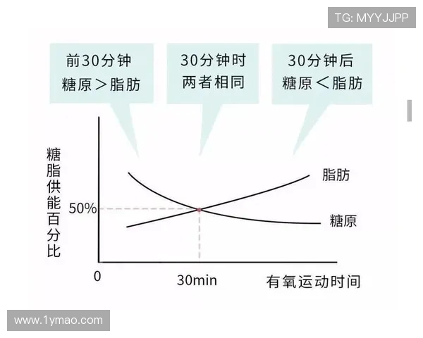 运动促进健康与活力的科学探索与实践：从健身到竞技的全面分析