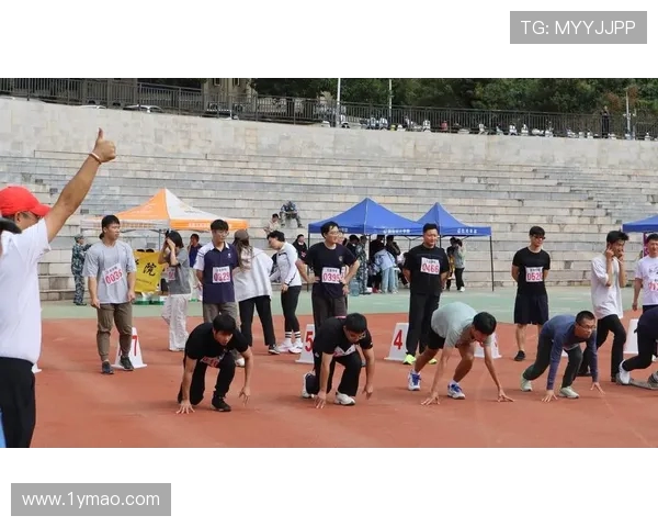 激情燃烧的赛场见证青春拼搏与梦想绽放的体育盛宴