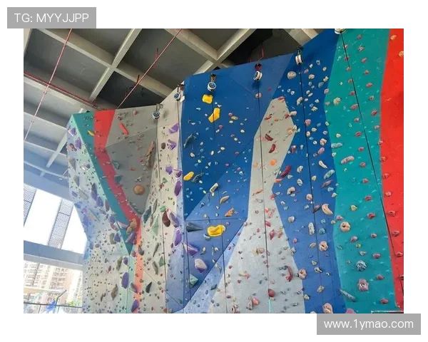 南京攀岩队的节奏与技巧探讨：攀岩运动的魅力与挑战