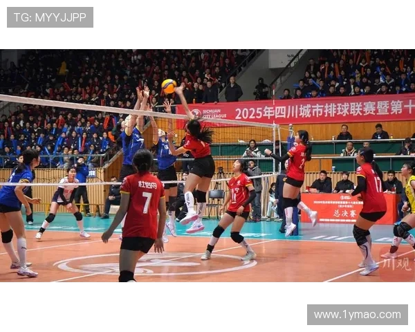 成都排球队选拔赛表现分析速度优势与提升空间探讨 成都排球队选拔赛表现分析速度优势与提升空间探讨