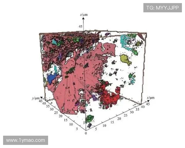 杭州足球队边路渗透战术分析及其对比赛结果的影响探讨