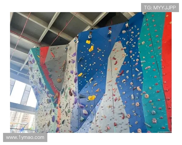 西安攀岩队荣登全国攀岩配合排行榜第二名展现实力与团队精神