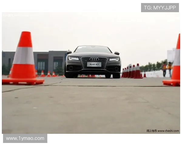 实时掌握全球热门电竞赛事比分动态畅享精彩对决激情时刻