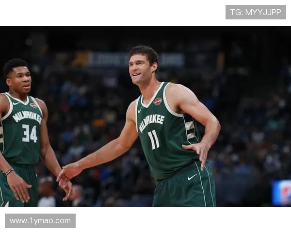 布鲁克洛佩斯:从篮球新星到NBA顶尖中锋的辉煌旅程 布鲁克洛佩斯:从篮球新星到NBA顶尖中锋的辉煌旅程